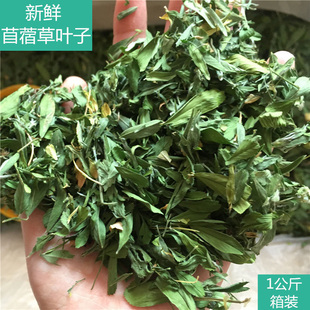 兔草烘干紫花苜蓿草纯叶子干草兔子牧草饲料龙猫吃 粮食幼兔粮