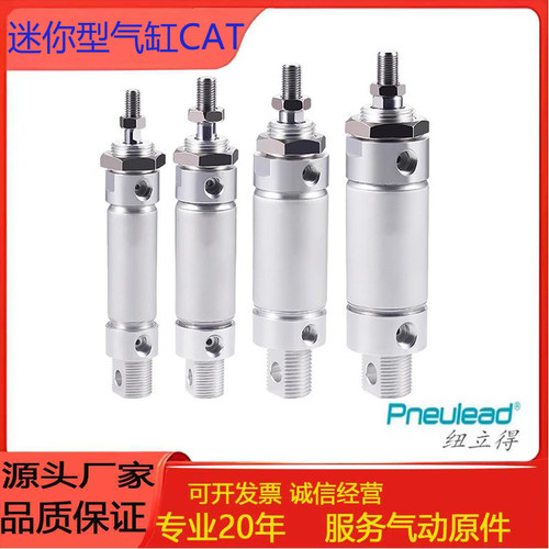 Pneulea标准迷你型气缸CAT20