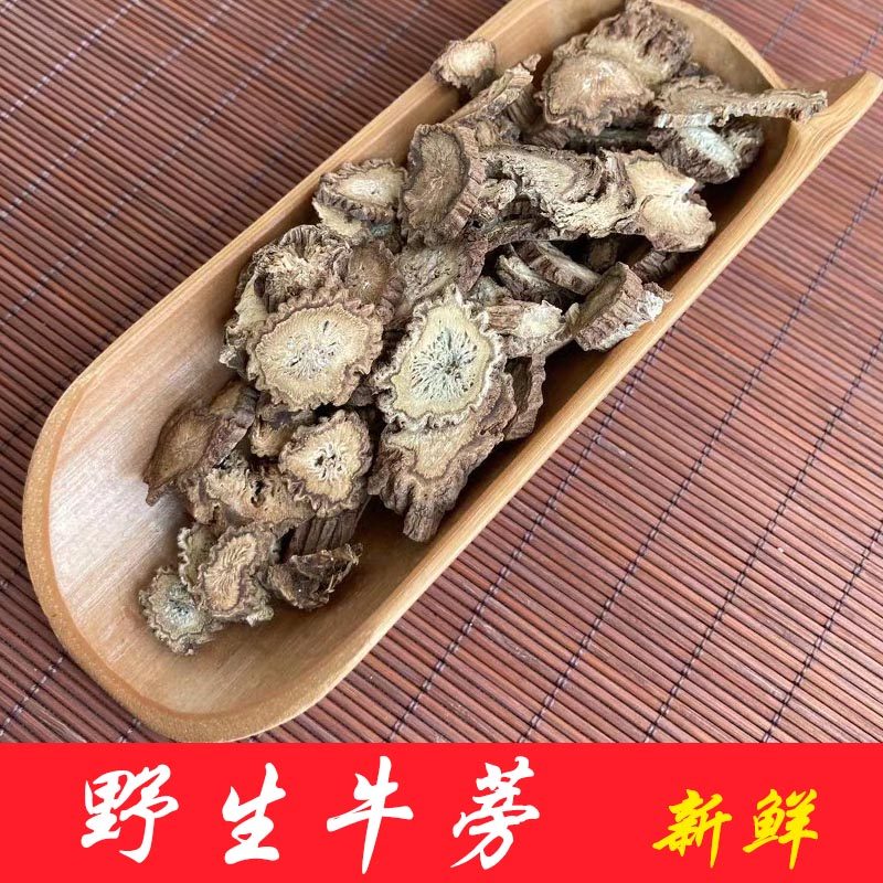 牛蒡 新鲜牛蒡根 牛蒡根片 中药材牛蒡根 牛蒡根茶牛蒡根泡水散装
