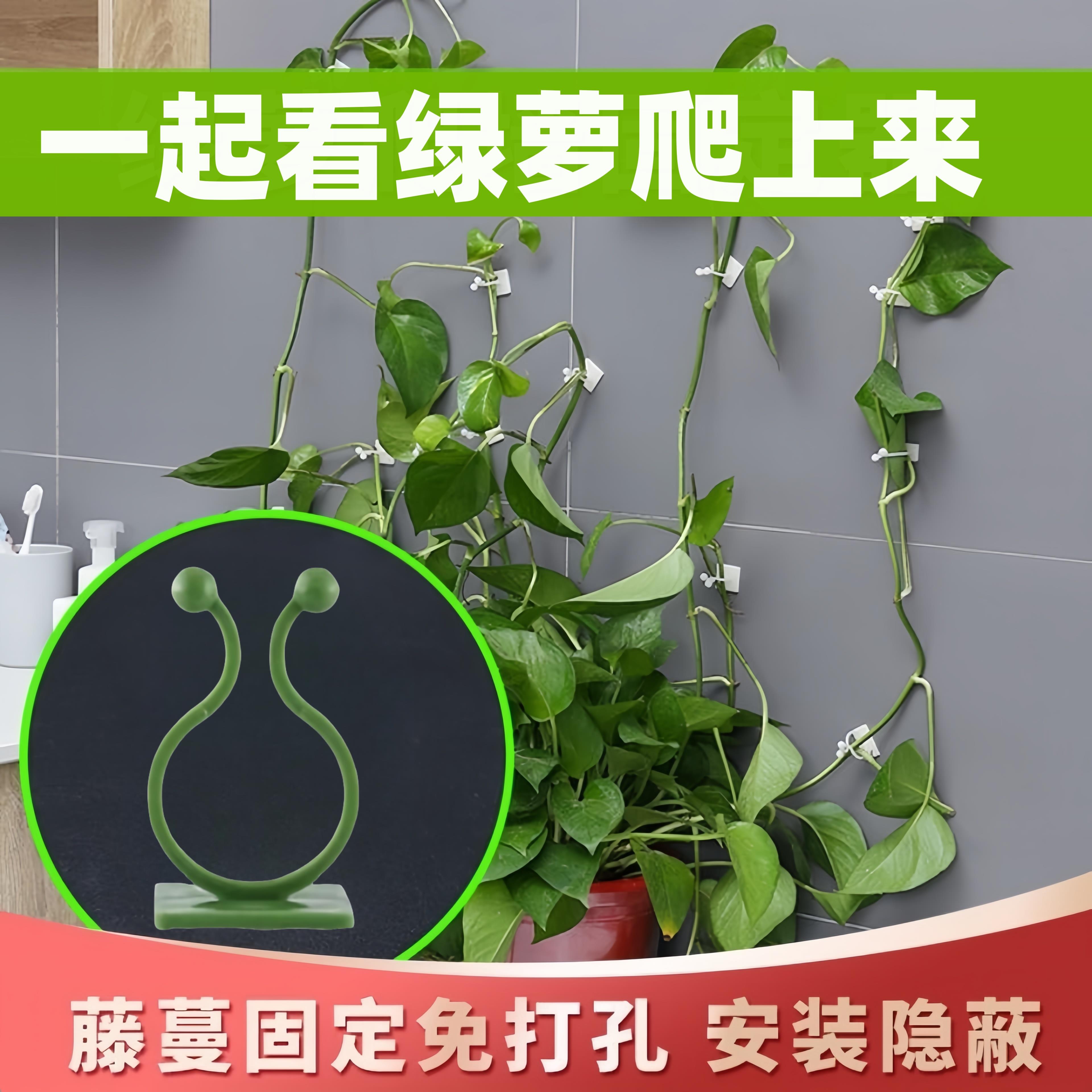 绿箩爬上神器爬墙上固定器绿萝绿植攀爬夹子墙上无痕挂钩粘爬藤杆