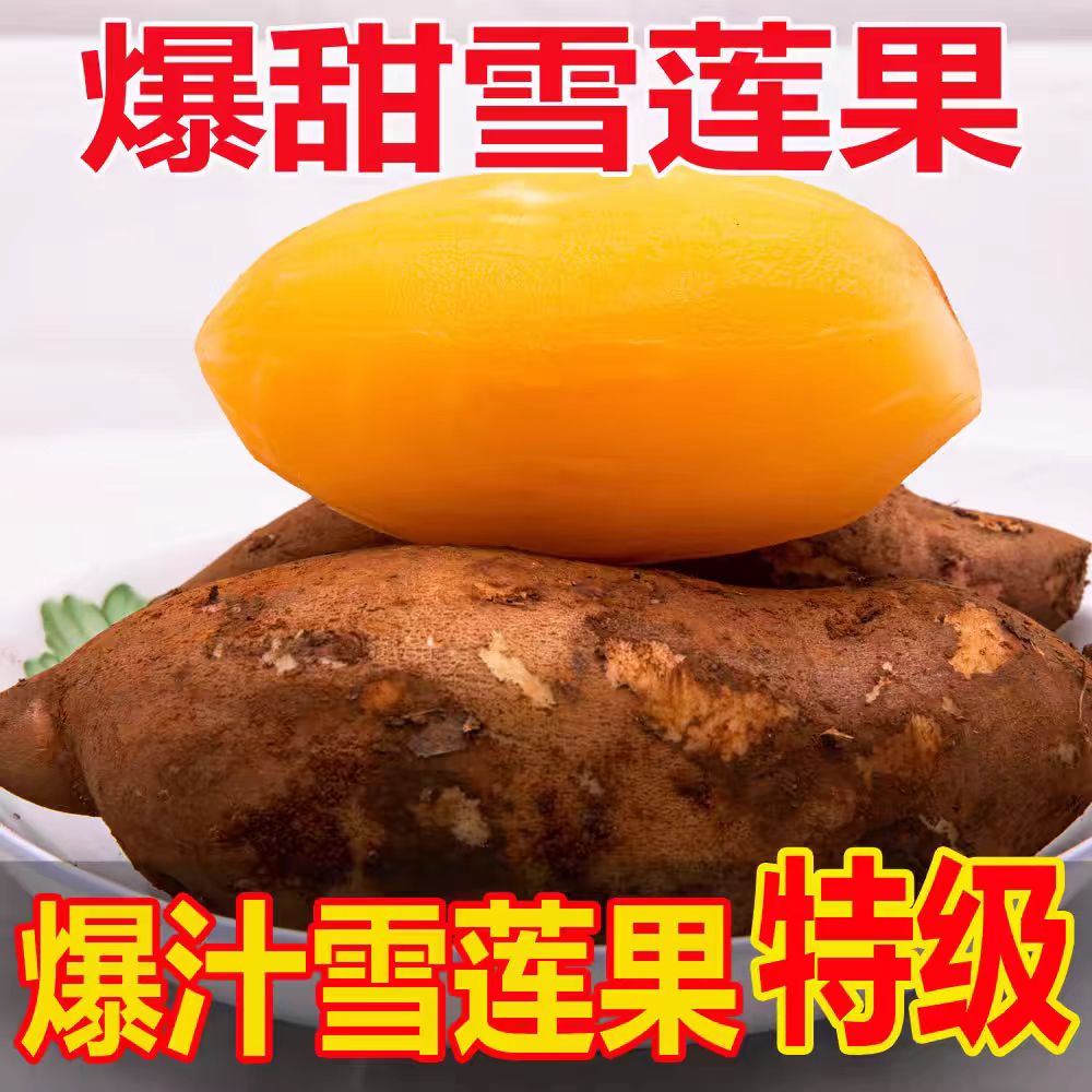 云南天山雪莲果新鲜低糖水果当季黄心红一整箱批发价包邮精品大果