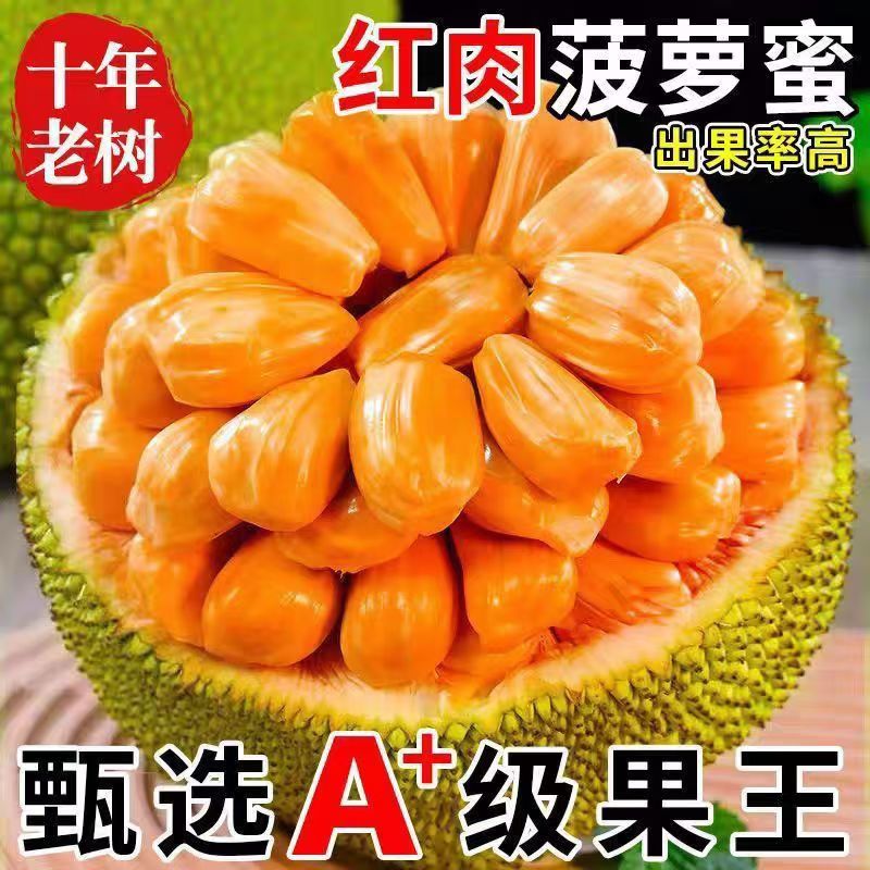 寻乡越南泰八红肉菠萝蜜