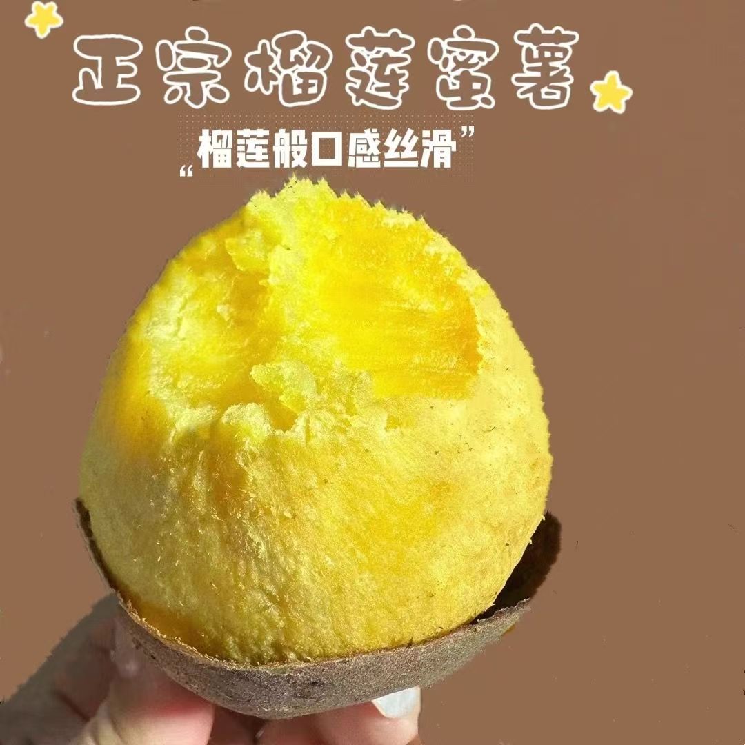 鸣门今时地瓜榴莲蜜薯黄金蜜薯黄心红薯玛莎莉现挖地瓜蔬菜包邮