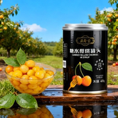 樱桃罐头大连特产蛋糕烘焙西餐零食红樱桃黄樱车厘子水果罐头甜品