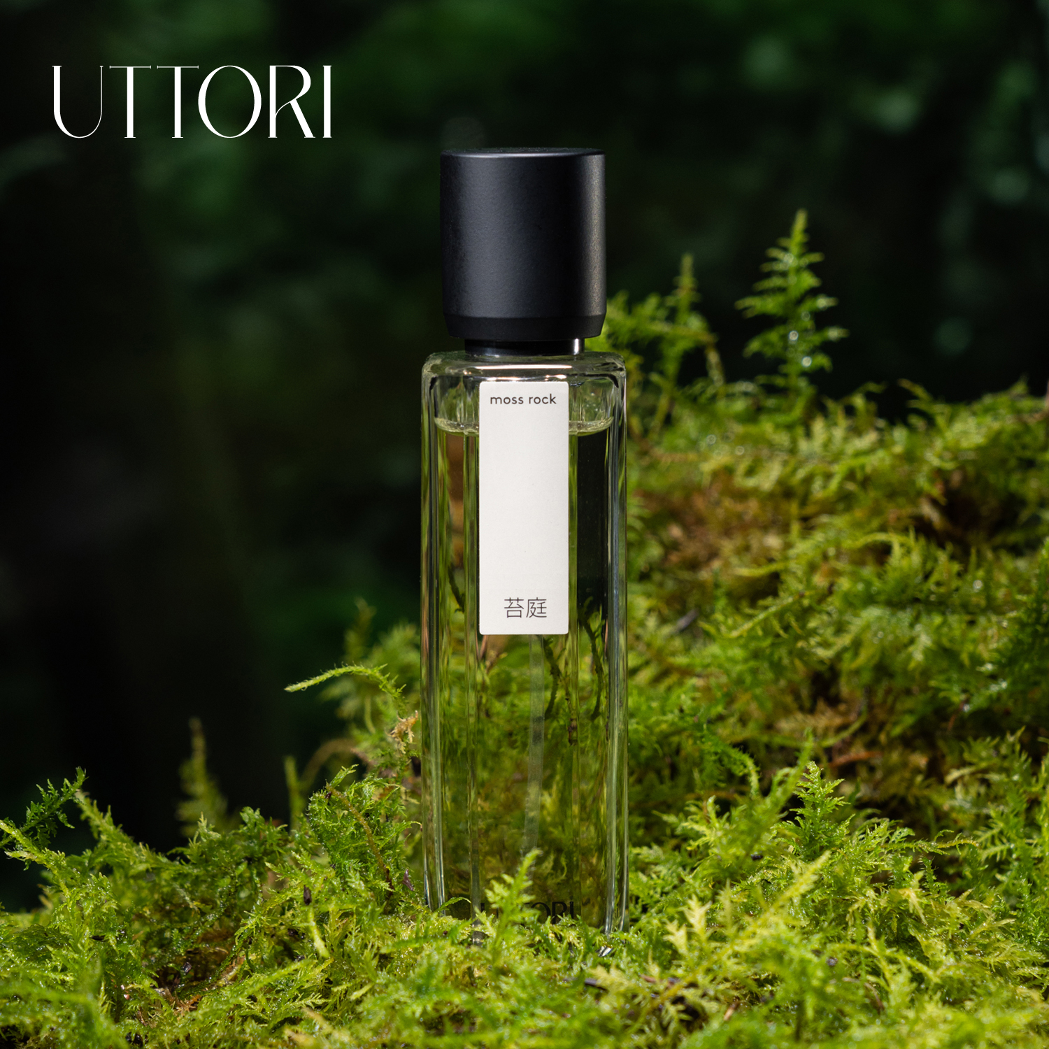 UTTORI/五朵里EDP香水苔庭