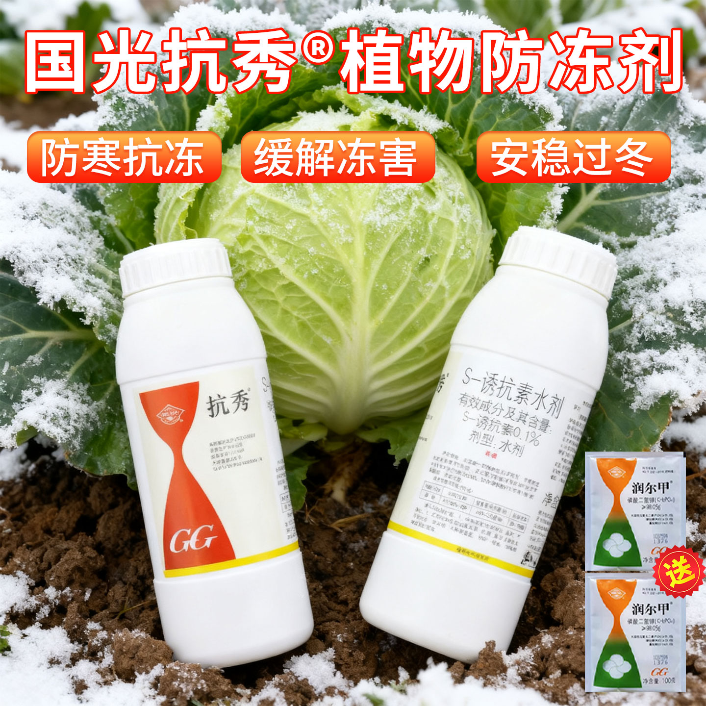 国光抗秀植物冬季防冻液