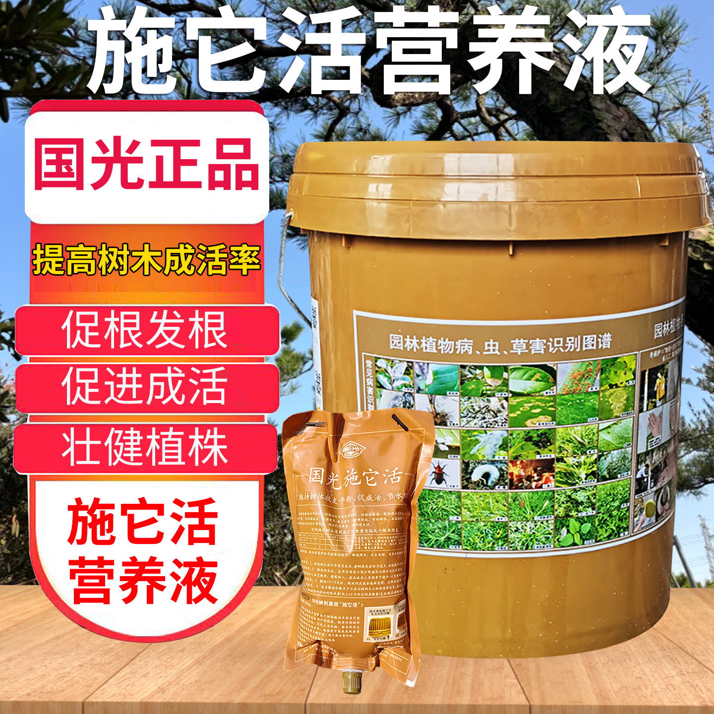 国光施它活树木营养液吊针移栽生根液树木通用型果树大树木输液袋