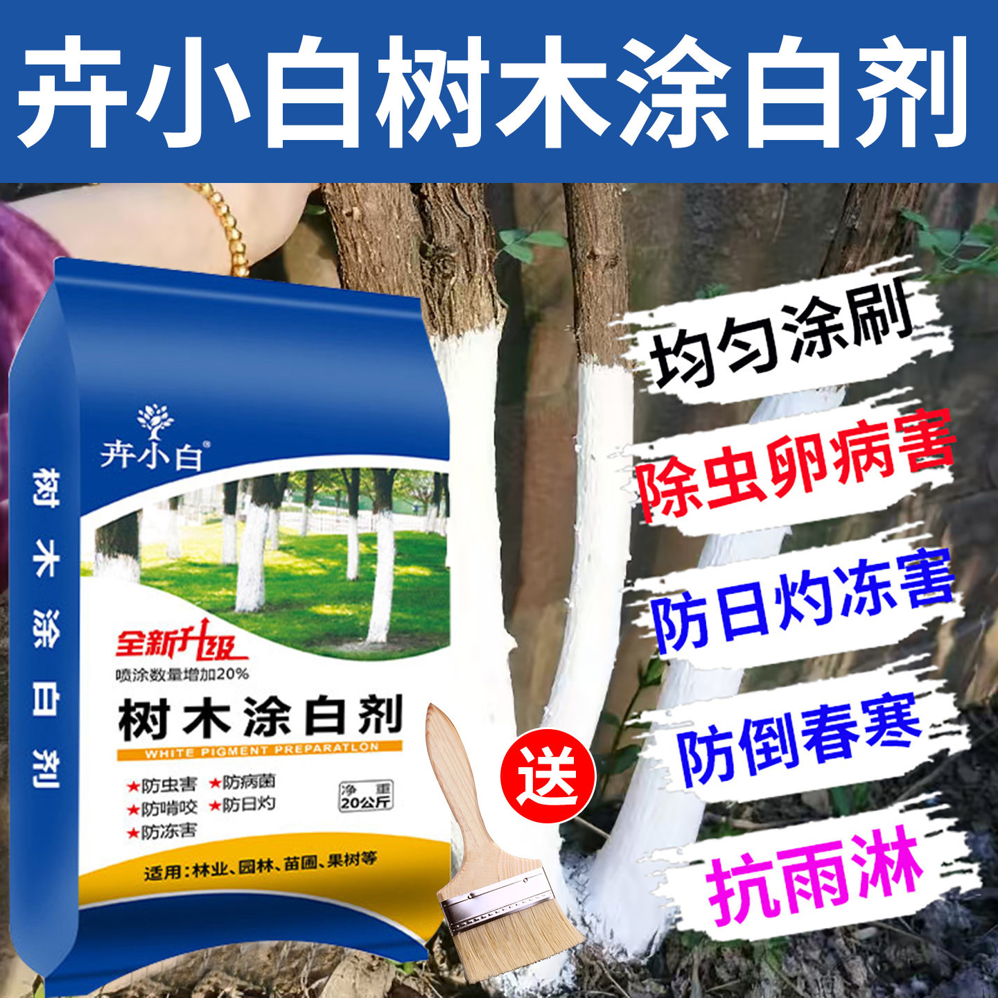 树木树干涂白剂花草防虫防寒抗病杀菌环保园林盆景果树专用石灰粉