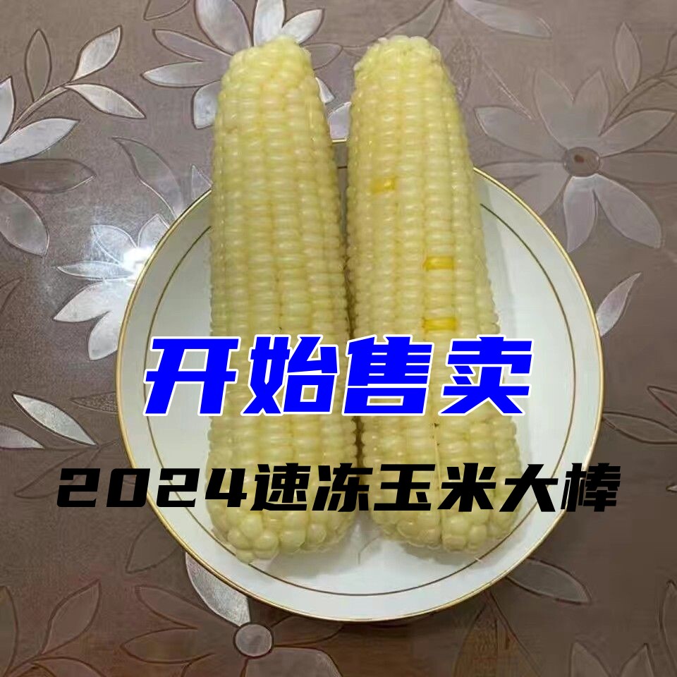 24年新季小香甜非转基因糯玉米