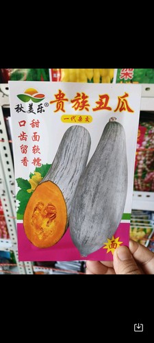 【贵族丑瓜种子】干面香甜板栗南瓜