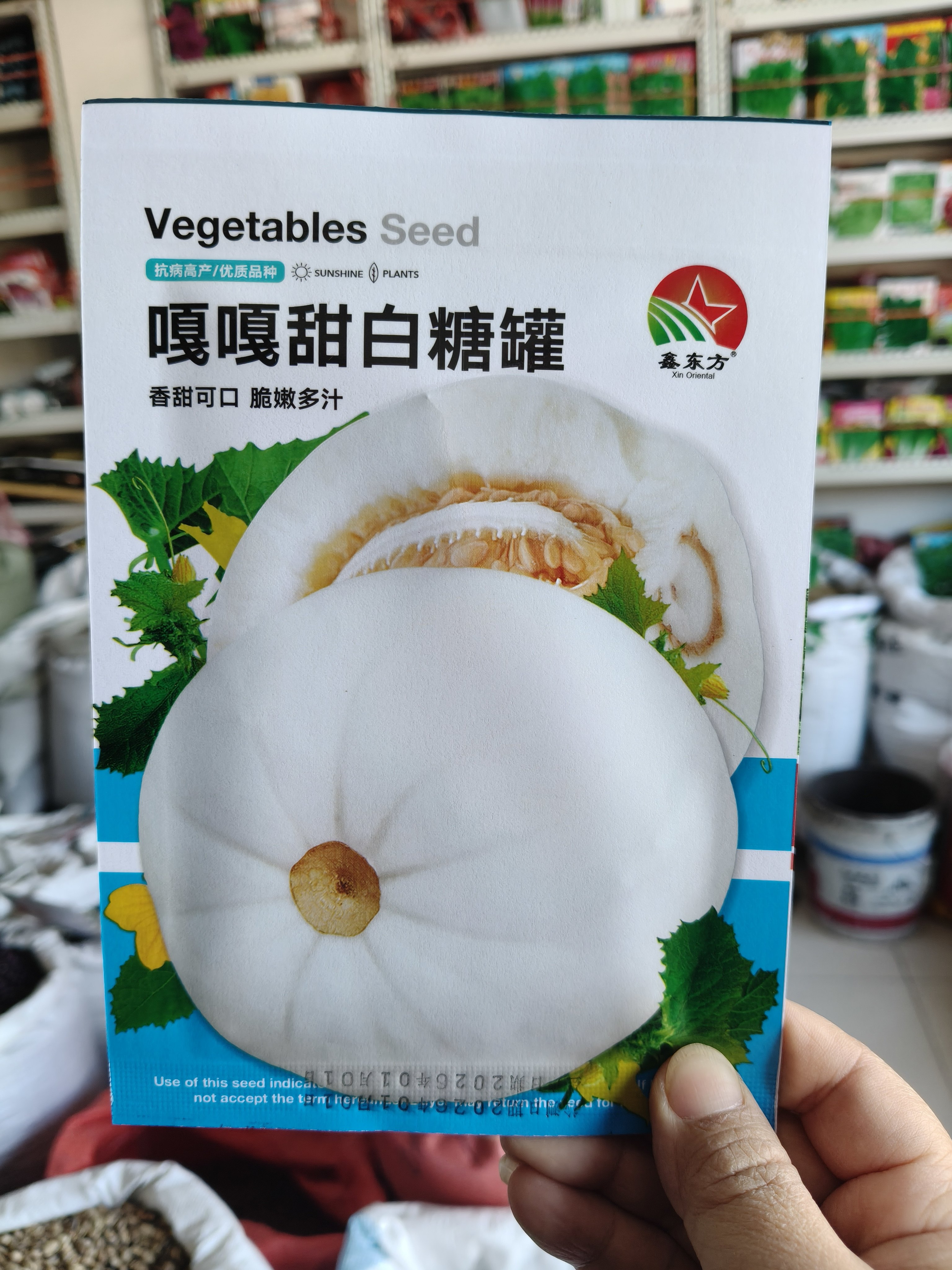 【白糖罐甜瓜种子】鑫东方早熟薄皮香瓜白皮种籽四季水果图片