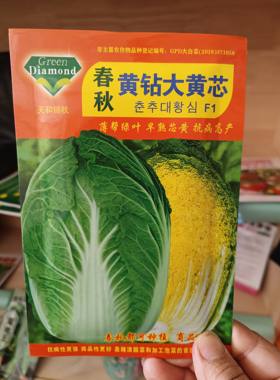 黄砖大黄心春秋2季韩国进口种子纯黄心大白菜种子抗病