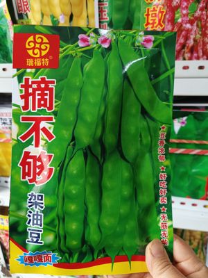 摘不够早熟油豆角种子瑞福特东北农家架油豆角籽油绿面糊无筋无柴