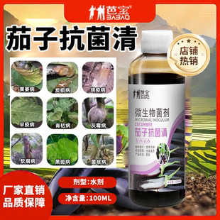 茄子黄萎病专用药茄子霜霉病软腐病灰霉病炭疽病枯萎病茄子病抑制