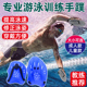 专业游泳训练手蹼儿童成人自由泳蛙泳装 备助泳姿训练提速器划水掌