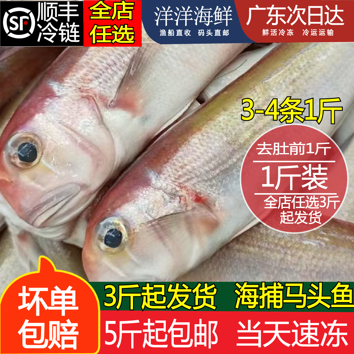 马头鱼海钓方头鱼马面鱼深海冷冻南海海鲜水产海鱼新鲜斧头鱼500g