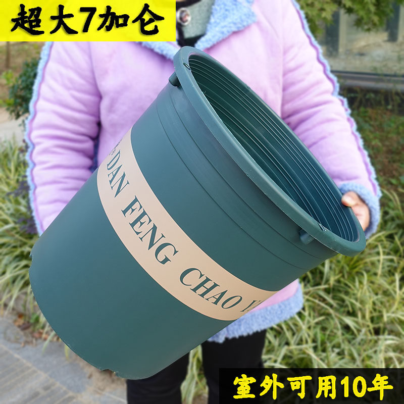 环保塑料花盆加大口径种果树大型落地绿植月季加仑盆青山控根耐晒