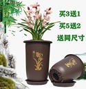 高脚仿紫砂君子兰花卉兰花盆 兰花花盆高深高盆塑料加厚耐用高款