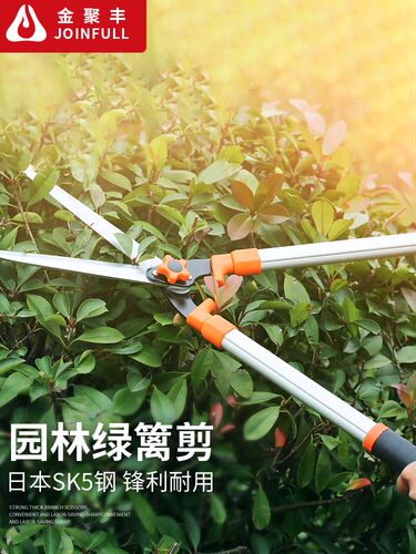 园艺园林绿化修枝工具修枝剪花园剪草大剪刀修剪花木树枝强力剪刀