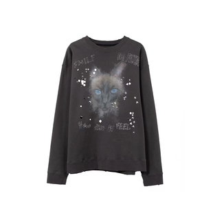 26SS 复古酷感猫咪印花宽松休闲高街风圆领卫衣 三源明星同款