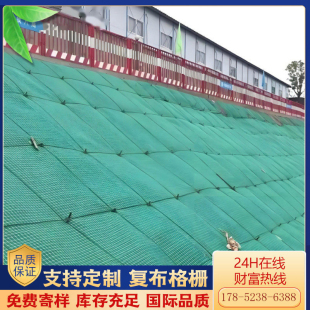 绿色格栅复布格栅覆布双向格栅复合土工布装配式格栅基坑支护护坡