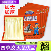 陈师傅强力粘鼠板老鼠贴大老鼠灭鼠器笼夹抓捉沾鼠捕鼠神器实惠装