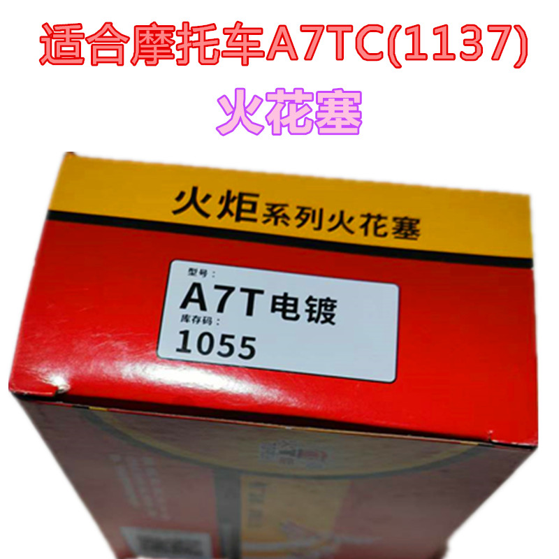 助力摩托车火花塞DTY70100110