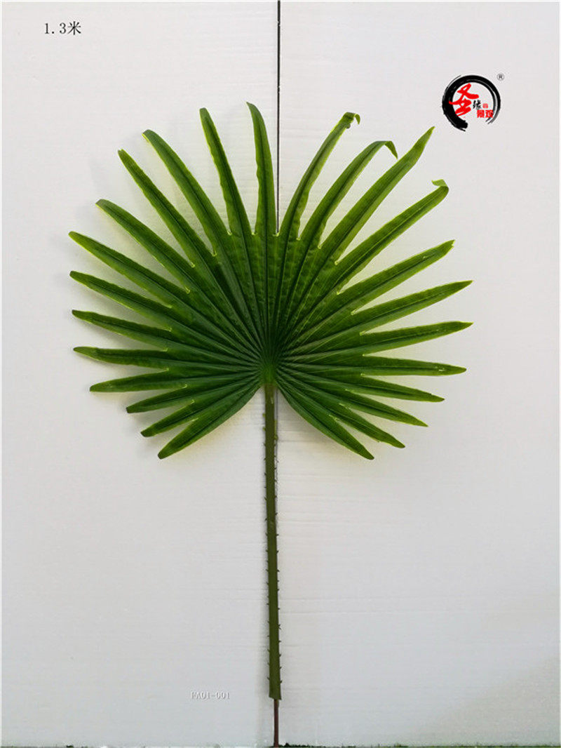 3米棕榈树叶老人葵叶摄影扇形大叶子森系造景绿植