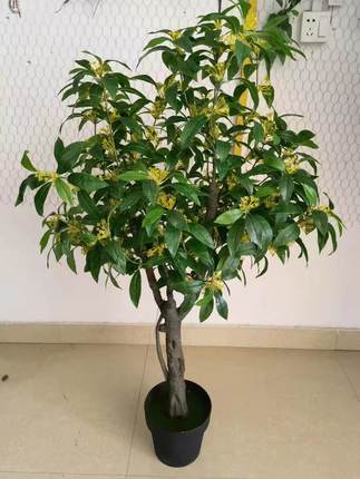 仿真桂花树假绿植小清新酒店花槽客厅餐厅办公室别墅落地装饰摆件