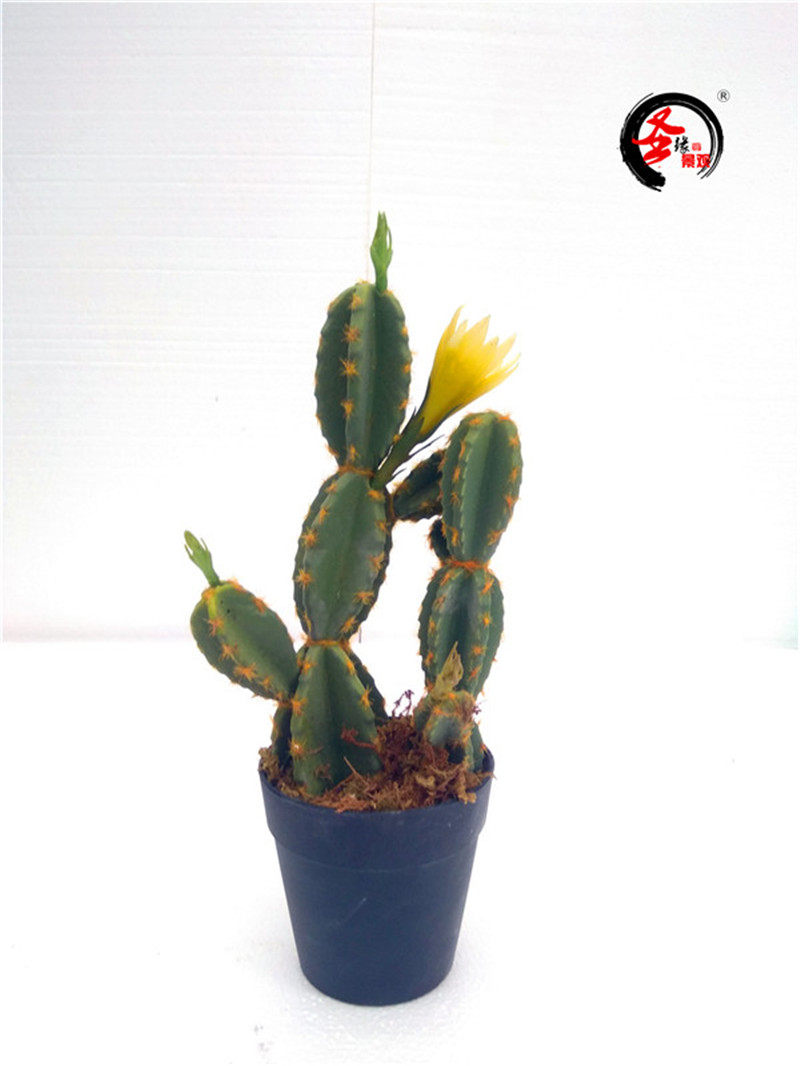 ab仿真仙人桃33cm小仙人掌带花书桌装饰假花摆件室内办公室小绿植