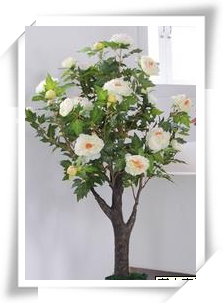 假牡丹花盆栽 牡丹花仿真树盆栽 仿真牡丹 乔木牡丹花室内摆设|ruв категории доставка цветов/цветок моделирования/растения садоводства, искусственные цветы/растения/фрукты и овощи готовой продукции (новая), моделирование растения - от Buy2taobao.com для оказания профессиональной услуги покупки агента Taobao