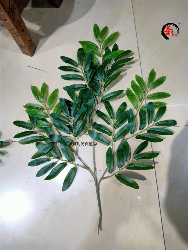 ab仿真橄榄叶假细柳叶植物树叶黄金榕北欧风雀舌黄杨叶家居插花材