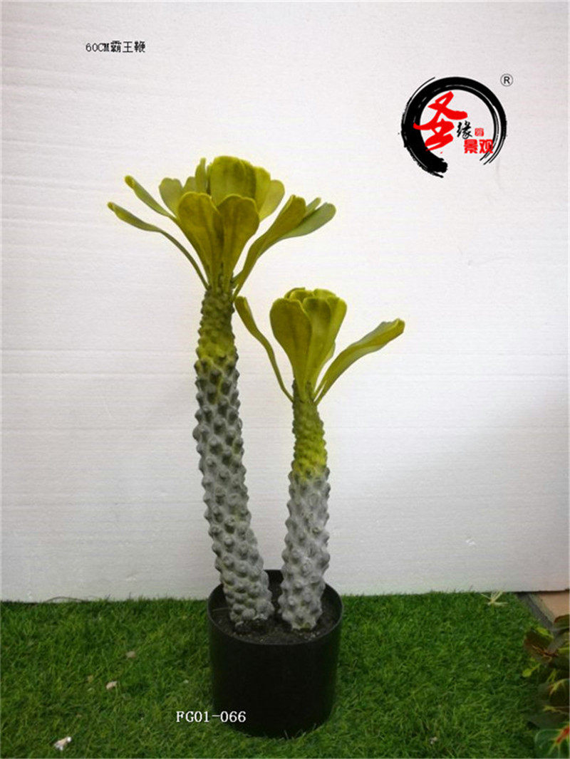 ab仿真非洲霸王树60cm假霸王鞭多肉室内造景盆栽商场摆放家居绿植