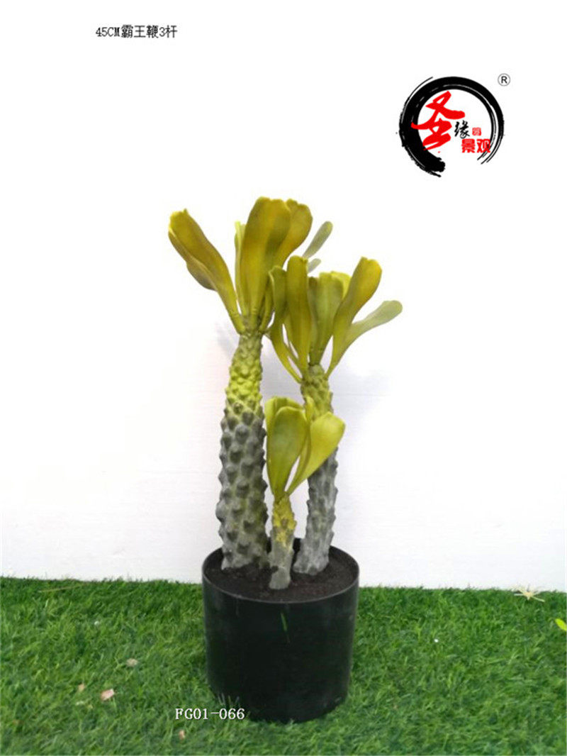 ab仿真霸王树假霸王鞭45cm3杆北欧家居装饰摆件盆景非洲霸王树假