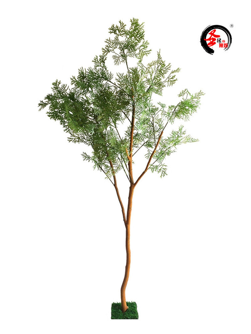 仿真扁柏树侧柏片松室内外商场广场酒店大堂庭院园林景观装饰摆件