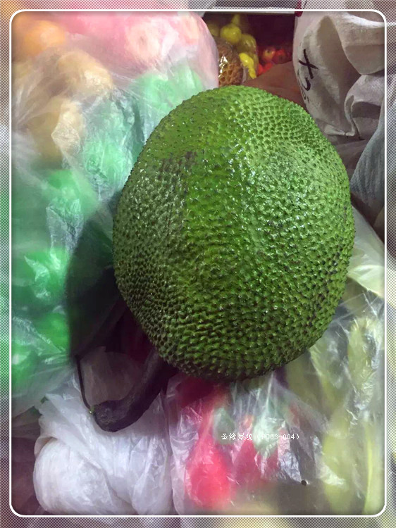 仿真水果 假水果装饰 菠萝蜜果实 静景摄影道具 牛油果厨房摆设