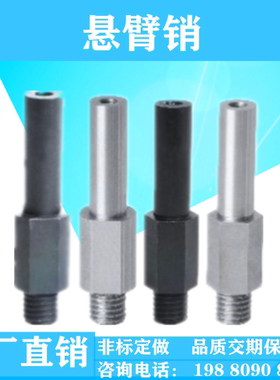 悬臂销MDJ MDL01/01/02/06/08/11/12/16外螺纹安内螺纹六角型定做