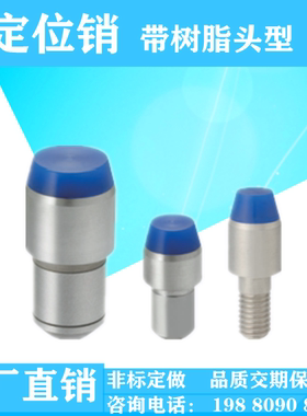 定位销带树脂头型JPPH SJPPH CJPPH-B/PB/TA/NA米思米非标定做
