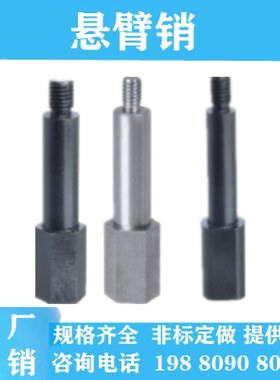 悬臂销MEP01/02/03/21/22/23内螺纹外螺纹六角型怡合达非标定做