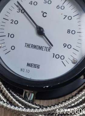 TUS-2S-S温度计NESS