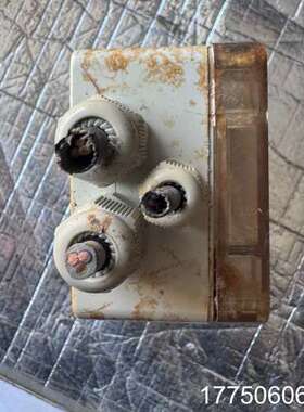 Isopad温控仪，德国，成色。