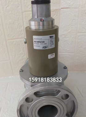 SG40FS/220施能慢开电磁阀SG50FS/220 SG
