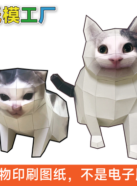 猫meme纸模型图纸元首猫Kitler猫Polite礼貌猫希特勒咆哮手工DIY