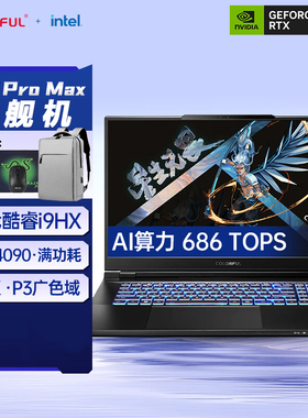七彩虹将星X17 ProMax RTX4090/i9-14900HX 17.3游戏本笔记本电脑