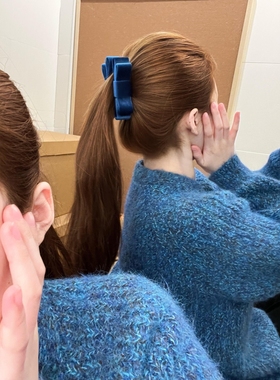 入禄蓝实在太显白了蓝色丝绒蝴蝶结香蕉夹高级感发夹轻奢2026新款