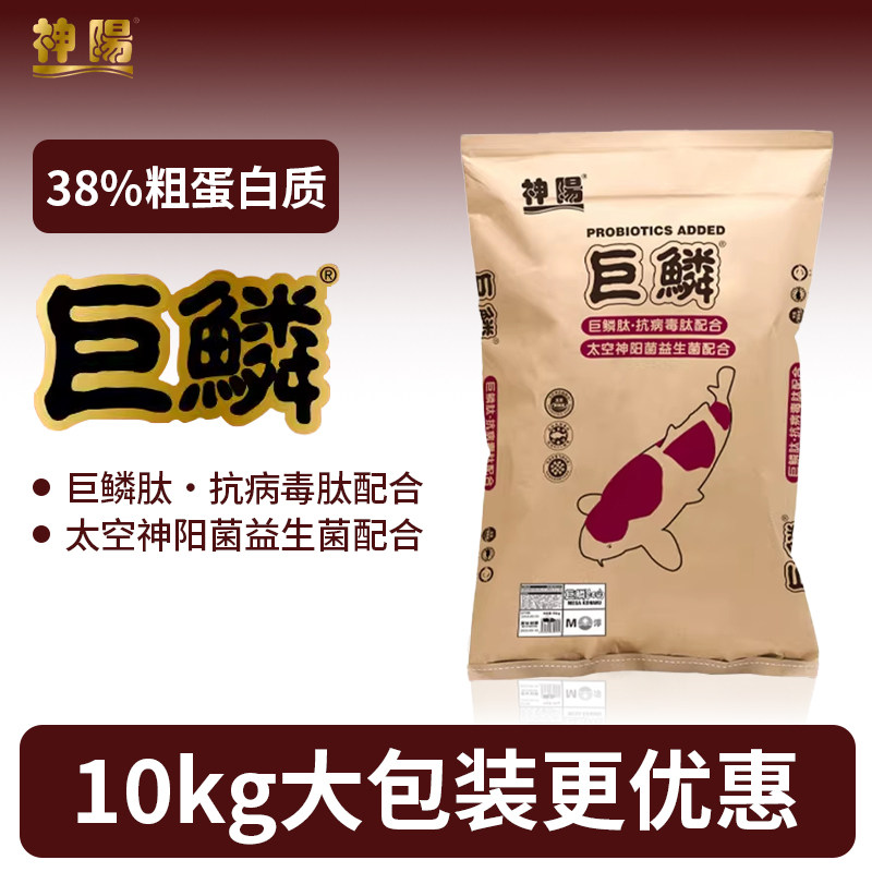 神阳巨鳞锦鲤饲料比赛级鱼食育成增体增色颗粒鱼粮易消化鱼饲料