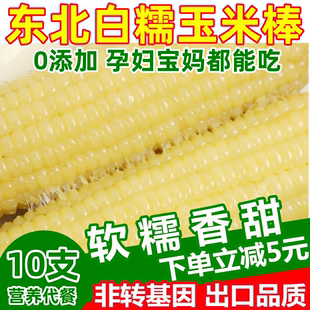 东北农家粘玉米甜糯玉米棒黑龙江黏苞米真空白糯玉米棒10支 280克