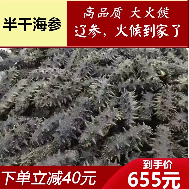 正宗长岛野生半干海参500g烟台深海优质大火候刺参酒店水发包邮
