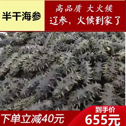 正宗长岛野生半干海参500g烟台深海优质大火候刺参酒店水发包邮
