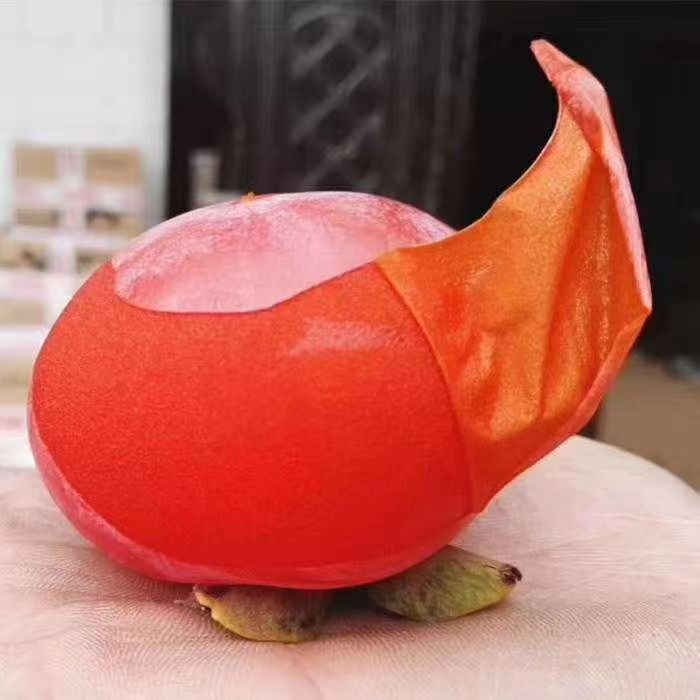 软甜柿子陕西临潼软柿子火晶葫芦新鲜应季水果现摘蜜柿整箱批发